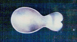 William Spratling Caddy Spoon