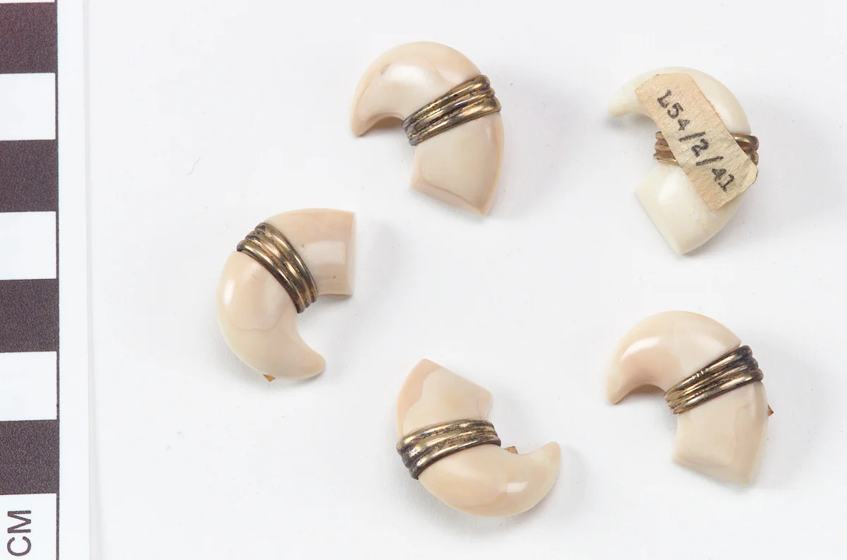 Buttons in the form of claws