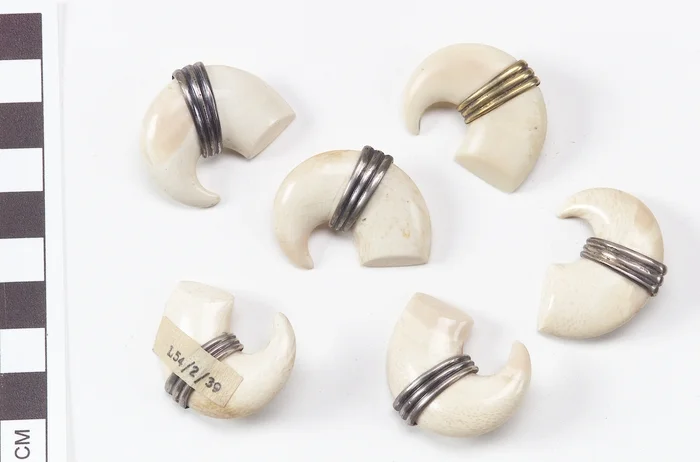 Buttons in the form of claws