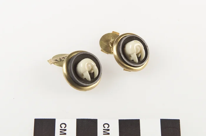 Walrus cuff links
