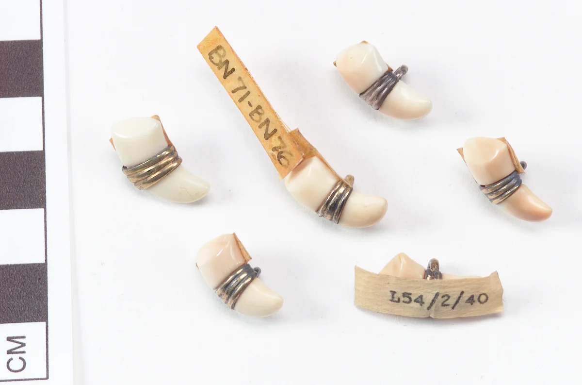 Buttons in the form of claws