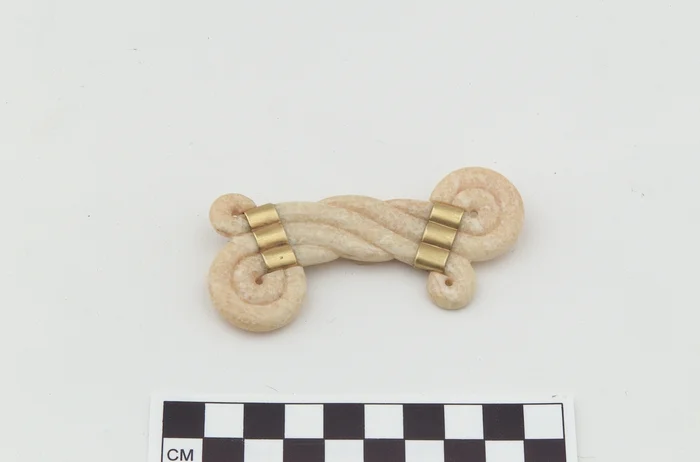 Brooch/Pin